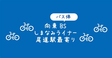 向東|【向東バスストップ】乗り場はどこ？向島の高速道路。